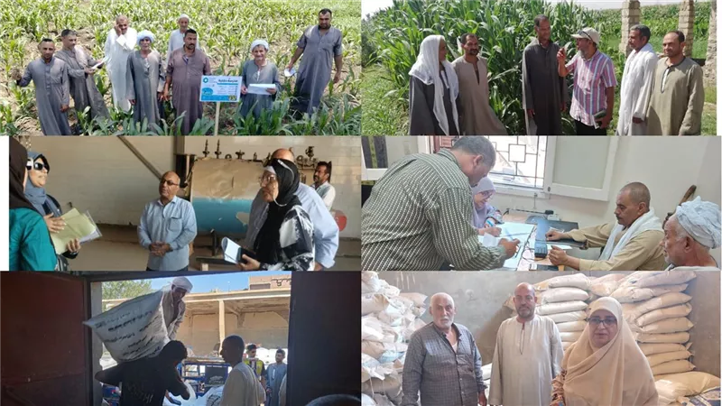بنى سويف|معاينات لمزارع دواجن ومحال اعلاف ومجازر لمتابعة الالتزام بالاشتراطات