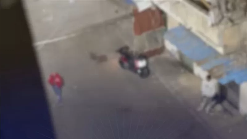حقيقة فيديو اتهام مالك مقهى بالبلطجة على أسرة في الإسكندرية