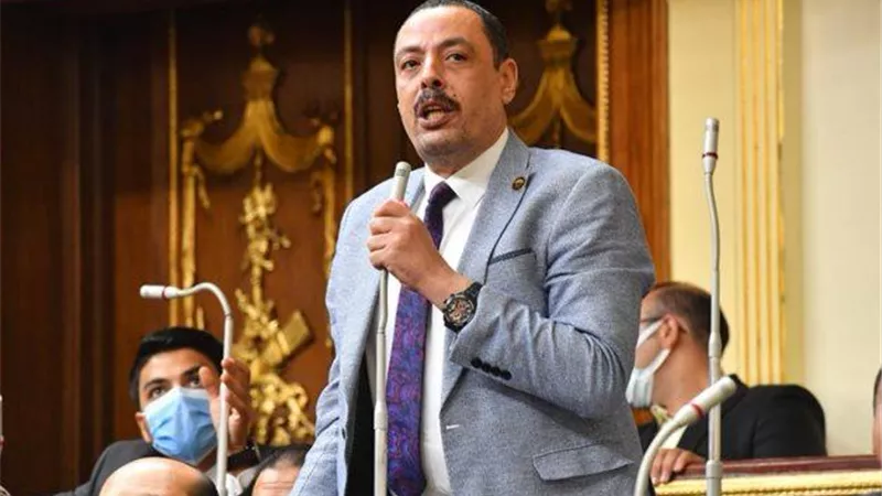 طلب إحاطة لمواجهة مخاطر التجارة خارج المنظومة الرسمية وتهديدها للاقتصاد الوطنى