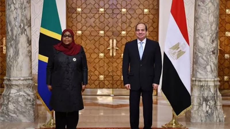 السيسي وسامية حسن يتفقان على توسيع التعاون في النقل والكهرباء والطاقة والزراعة