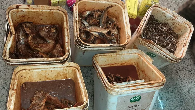 تحرير 523 محضر للمخابز والأسواق بسوهاج..وضبط طن لحوم غير صالحة للاستهلاك