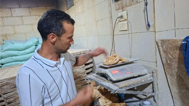 ضبط 38 مخالفة بالمخابز المدعمة في الغربية خلال حملات رقابية مكثفة