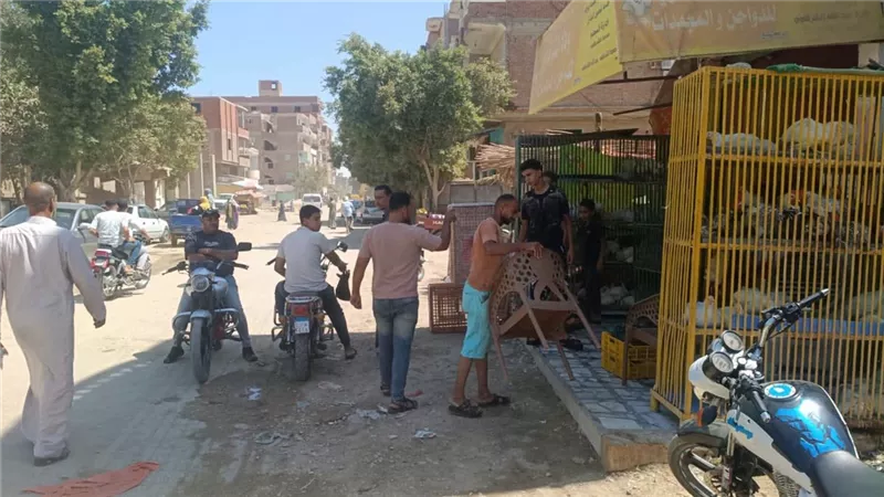 حي الجناين يواصل حملات رفع الإشغالات بالسيد هاشم وقرية العمدة وأبو عارف 