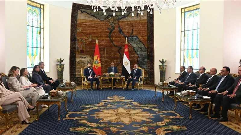 الرئيس السيسي ورئيس الجبل الأسود يبحثان تعزيز التعاون الاقتصادي 