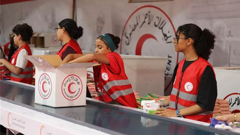 تعاون بين «الطفولة والأمومة» و«الهلال الأحمر» لنشر ثقافة السلامة بين الأطفال