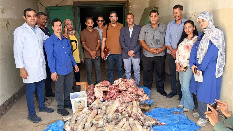 ضبط 250 كيلو جرامًا من اللحوم غير الصالحة للاستهلاك الآدمي بأحد المطاعم بسوهاج