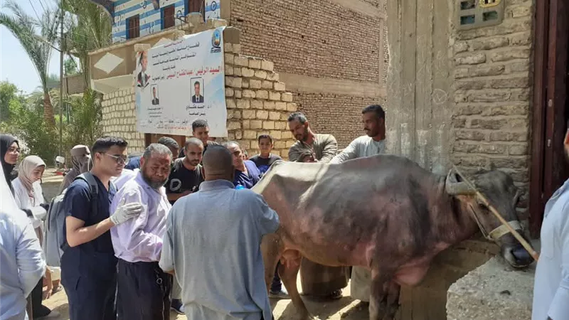 جامعة قنا تواصل خدماتها المجتمعية بقافلة بيطرية وزراعية بقرية الهديات 