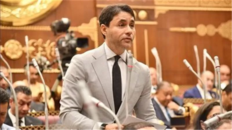 نائب يطالب بتسريع التحول الرقمي لرفع تنافسية الشركات ودعم نمو الاقتصاد