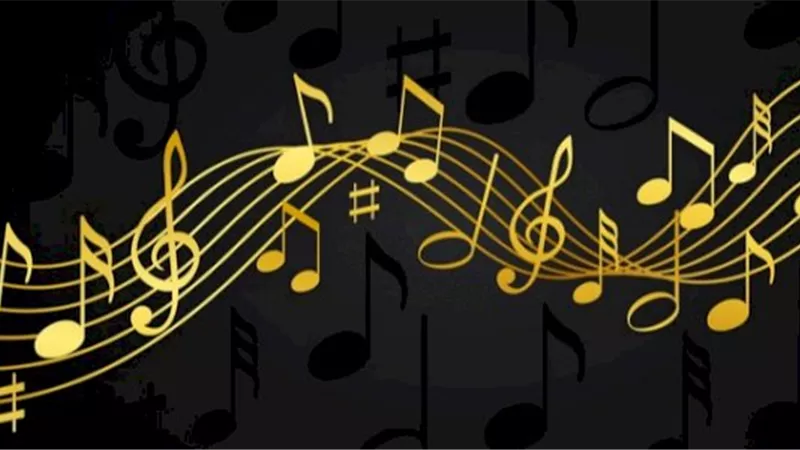ما حكم استخدام الموسيقى على الصور والفيديو؟.. أمين الفتوى يجيب