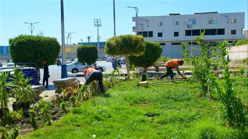 محافظ بورسعيد يتابع أعمال الانتهاء من زراعة الجزر الوسطى بشارع العبور بالمناخ