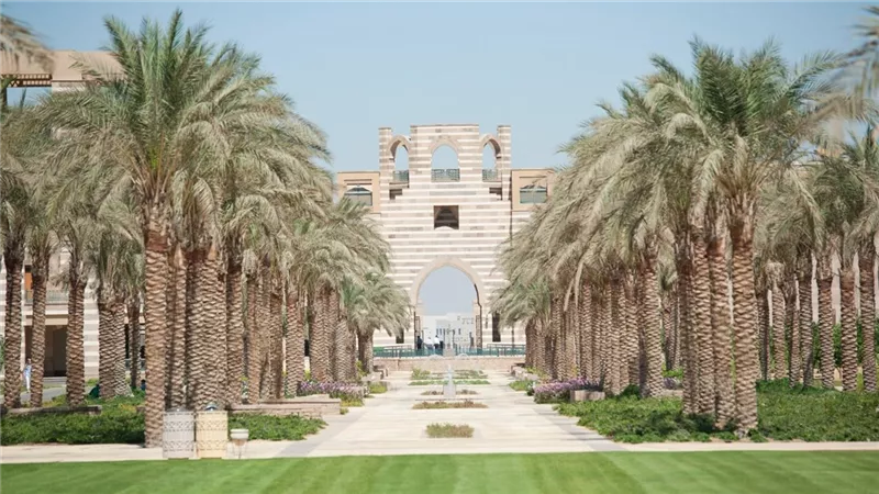 الجامعة الأمريكية تطلق الإصدار الرابع من تقرير الاستدامة 2026