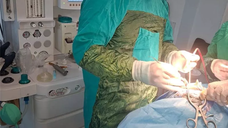 معجزة طبية في كفر الزيات.. إنقاذ طفل من نزيف بالمخ وكسر بالجمجمة بعد حادث سير