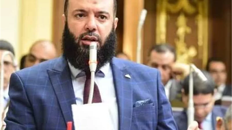 رئيس برلمانية النور: المنصات الإلكترونية لن تدير مصر ومؤسسات الوطن أذرع للبناء