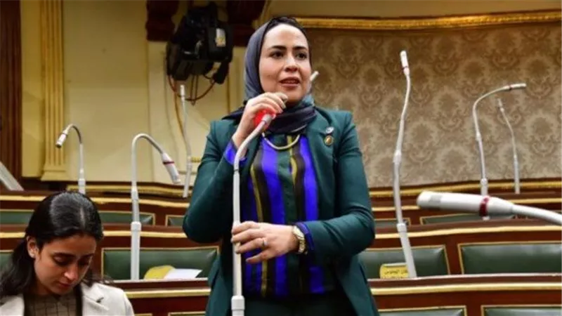 النائبة سارة النحاس تطالب بمراجعة عاجلة لأزمة تكليف الأطباء: 1300 طبيب لم يسجل