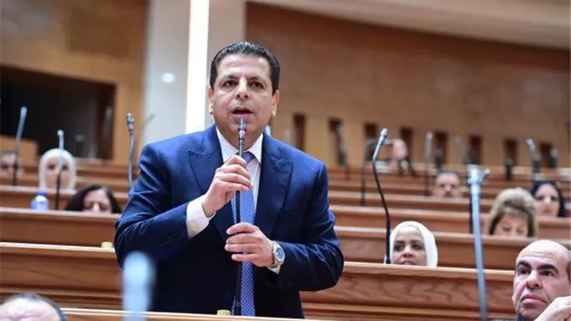 رئيس برلمانية المصري الديمقراطي يؤيد إنشاء جامعة كيان
