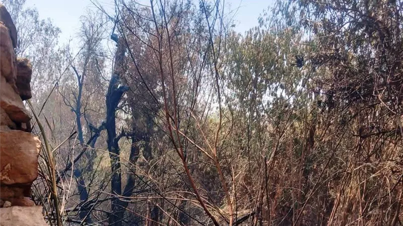 محافظ أسوان: التدخل السريع للسيطرة على حريق منطقة مستعمرة الخزان وحصر الخسائر