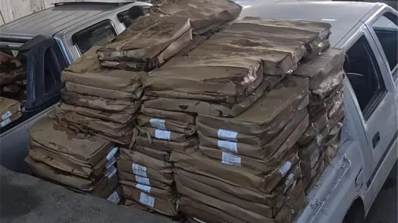 ضبط 1800 كجم سردين منتهي الصلاحية و445 بطاقة تموينية وتحرير أكثر من 100 محضر