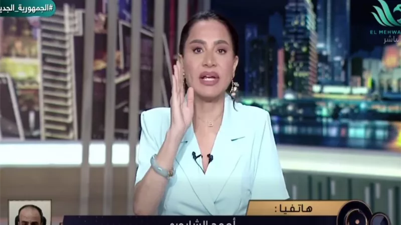بسمة وهبة: «الفقر مش عيب».. وانتقد التقليل من أسر ضحايا قرى بحر البقر