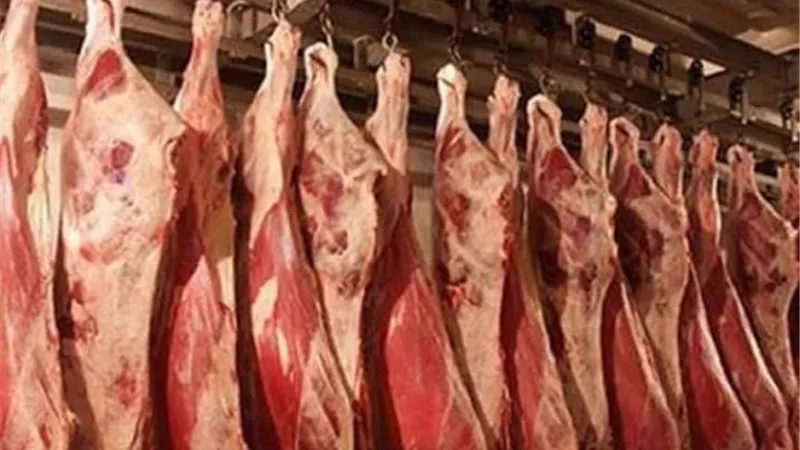 رئيس شعبة القصابين: تراجع مبيعات اللحوم 20% خلال الصيف.. والأسعار مستقرة