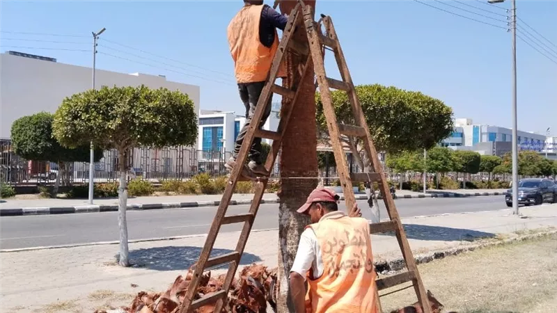 جهاز التطوير والتجميل يواصل رفع كفاءة وصيانة ميادين وحدائق الإسماعيلية