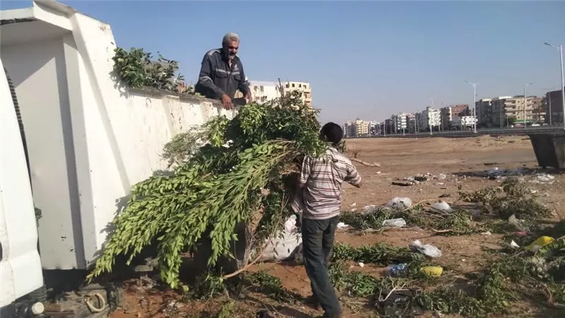حي عتاقة بالسويس يواصل أعمال النظافة بطريق الخدمة ضمن الوردية الصباحية