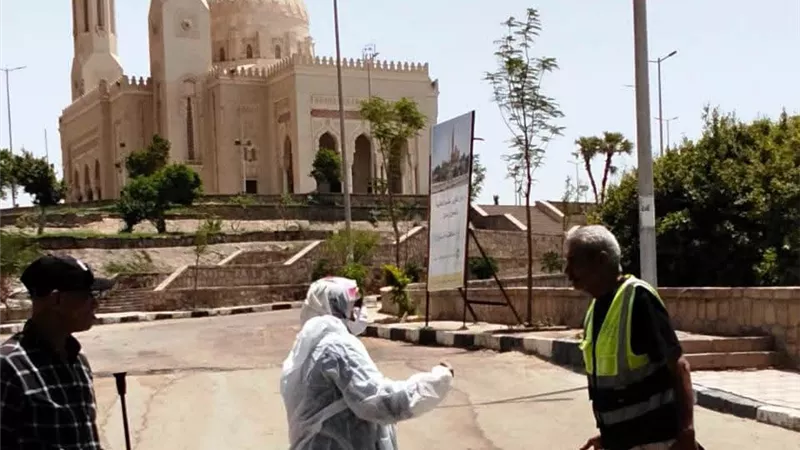 مواصلة تنفيذ حملات تحصين وتعقيم الكلاب الحرة للحد من مرض السعار بأسوان