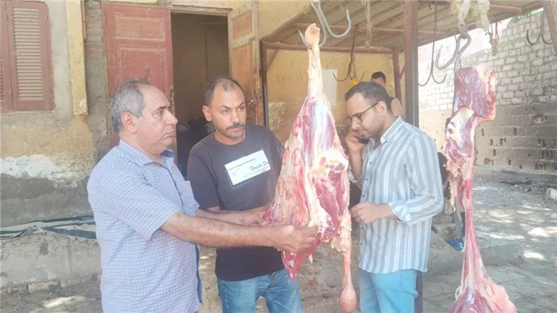 محافظ أسيوط: حملات بيطرية مكثفة تضبط لحومًا غير صالحة للاستهلاك الآدمي 