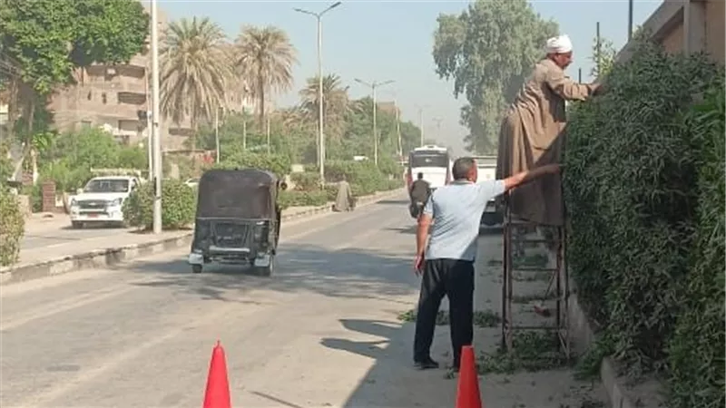محافظ أسيوط: مواصلة أعمال قص وتهذيب الأشجار بالطريق السريع حتى كوبري منقباد