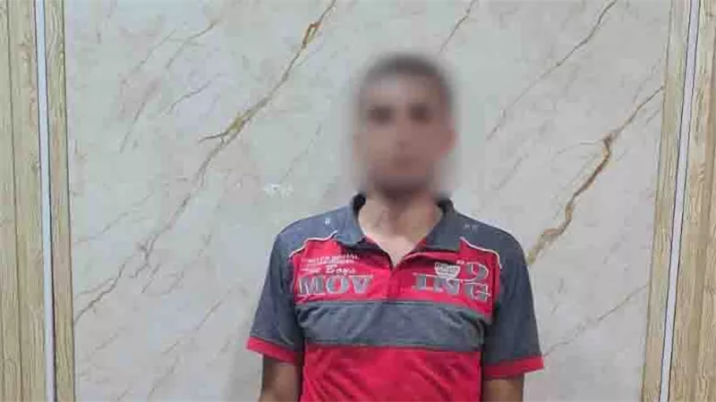 عاطل يضرب كلبا بعصا حتى الموت بالغربية.. والأمن يتدخل