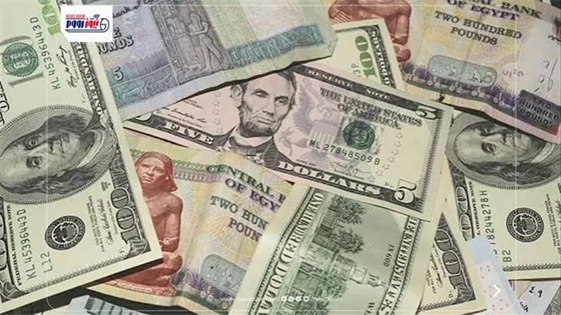 سعر الدولار على مدار الساعة.. 51.05 جنيه شراء الأخضر فى بنك البركة