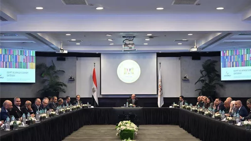 الاستثمار تبحث مع موانئ دبي تعزيز الصادرات المصرية وزيادة نفاذها للأسواق