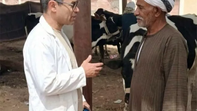 متابعة بيطرية لسوق الماشية بالألبان الجديدة وتحصين الحيوانات بالسويس
