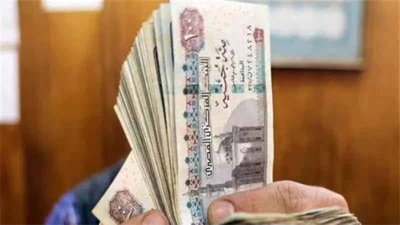 أزمة سيستم التأمينات تتصاعد.. حزب الوعى يطالب الحكومة بجدول زمني لحل الأزمة