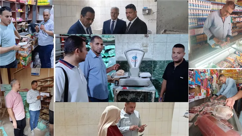 تحرير محاضر وضبط لحوم ودواجن فاسدة ودقيق مدعم بحملات لتموين بنى سويف|صور