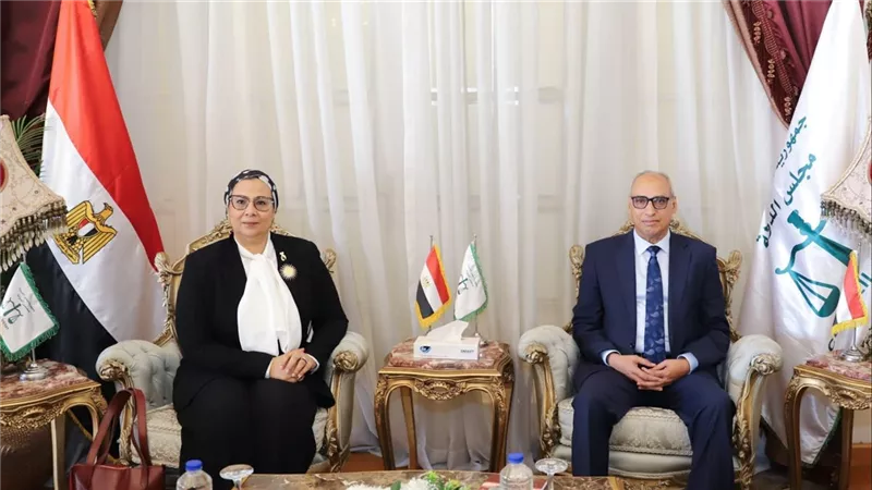 رئيس مجلس الدولة يستقبل رئيسة المجلس القومي للمرأة