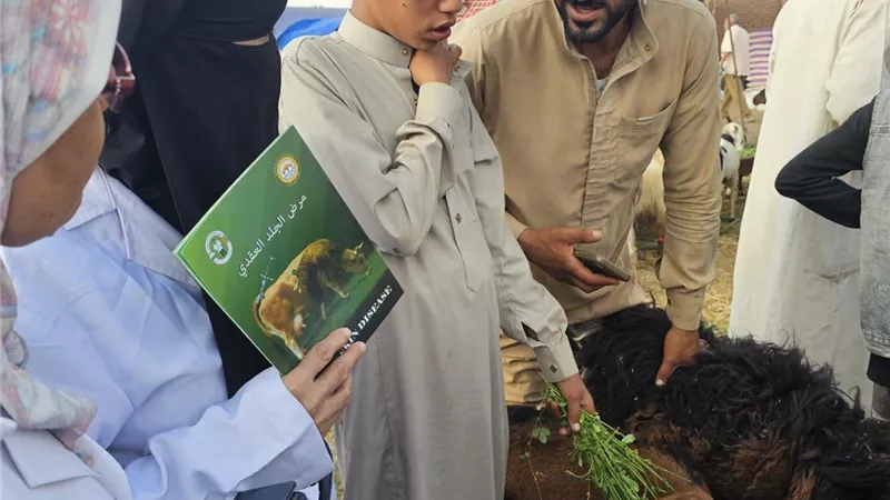 الطب البيطري بالسويس يواصل متابعة سوق الأحد بالألبان الجديدة