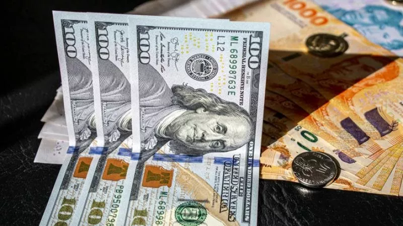 استقرار سعر الدولار أمام الجنيه اليوم الجمعة.. تعرف على الأسعار