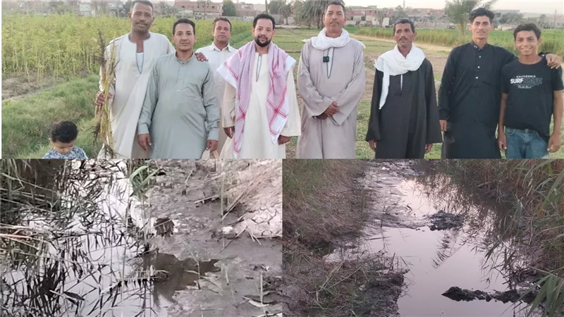 مزارعى اللافى والجرابعة بناصر بنى سويف .. أراضينا متعطشة للمياه |فيديو وصور 