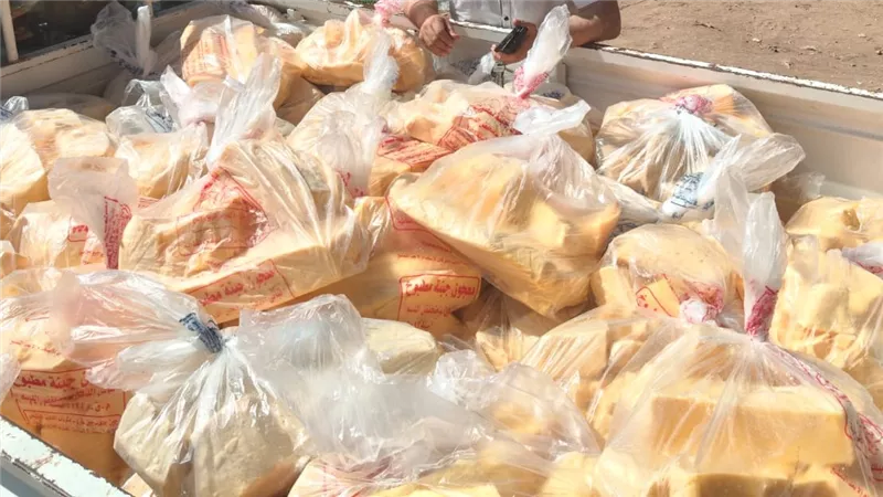 ضبط طنين جبن وأسماك مجهولة المصدر خلال حملة تموينية بكفر الشيخ 