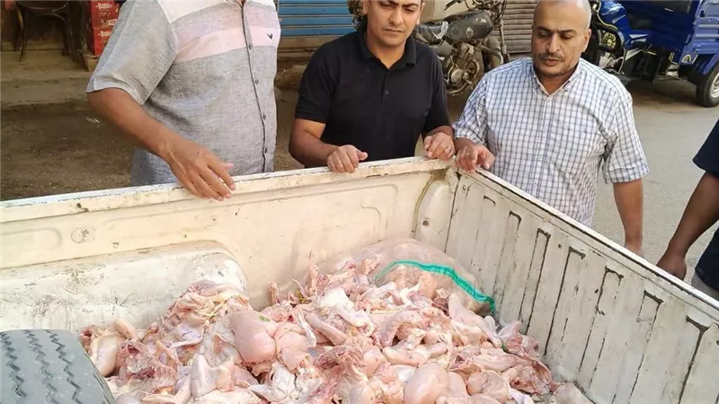 ضبط ربع طن دواجن محقونة بالمياه وغير صالحة للاستهلاك الآدمي بالمنوفية