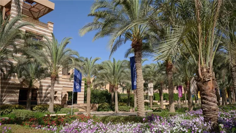 الجامعة الأمريكية بالقاهرة تطلق برنامج مساري| تفاصيل 