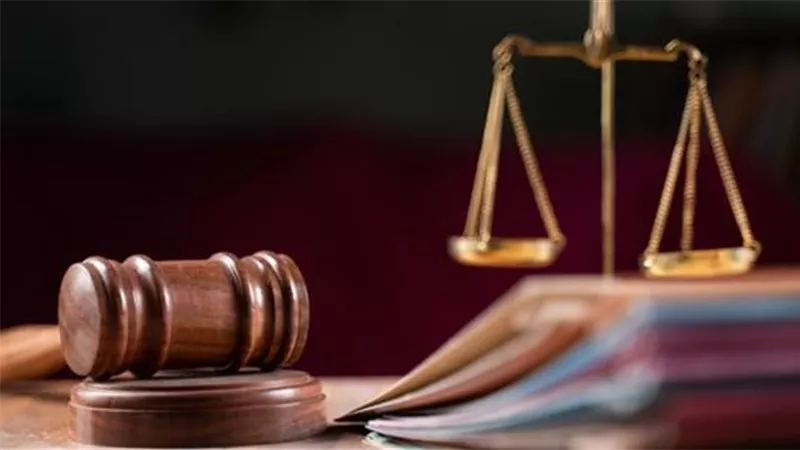  لاستكمال نظر الدعوى.. تأجيل  أستئناف  4 متهمين بسرقة المساكن فى حلوان 