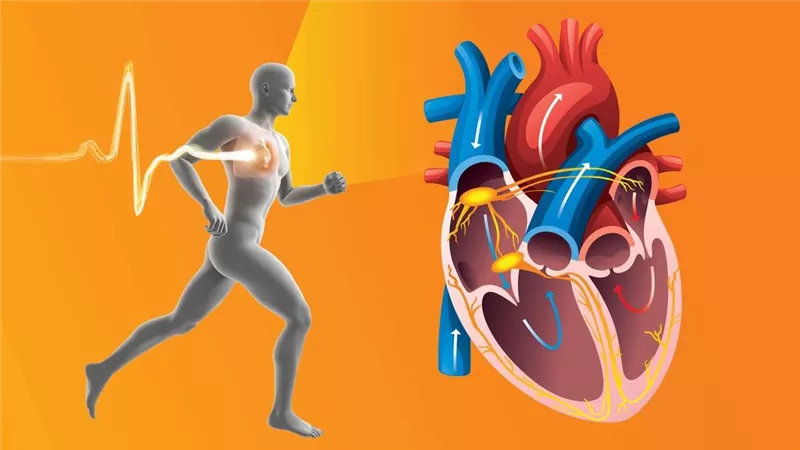 الحركة بركة.. حركات بسيطة في روتينك اليومي تنقذ صحة قلبك 