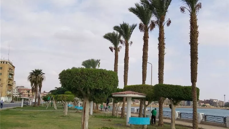 جهاز التجميل بالسويس يواصل أعمال قص وتدوير الأشجار وتقليم النخيل بالخور 