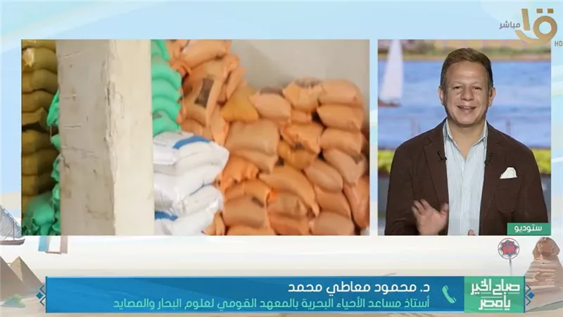 محمود معاطي: الأعلاف السمكية تصنع وفق معايير علمية ورقابة مشددة