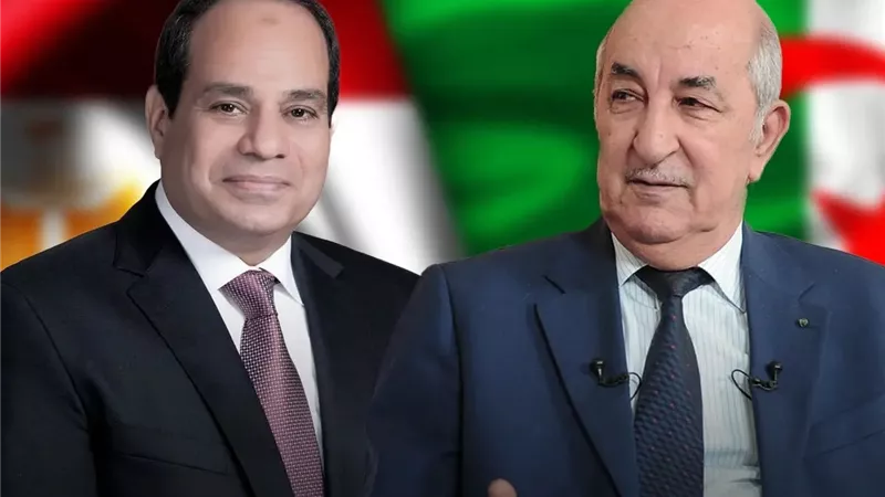 السيسي يعزي الجزائر بضحايا الحرائق ويؤكد لتبون تضامن مصر الكامل