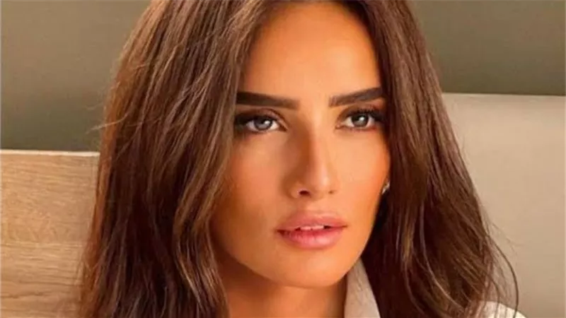 المحكمة تكشف أسباب براءة رجل أعمال في قضية إصابة نجلي زينة
