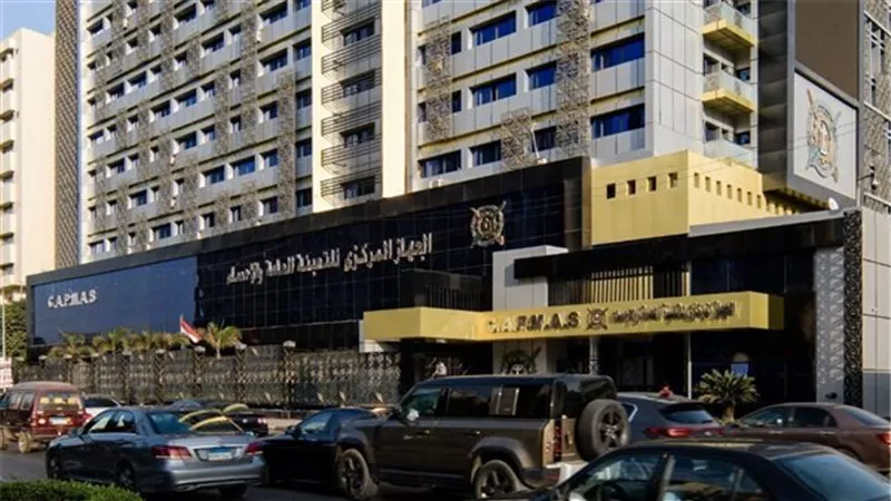 التعبئة والإحصاء: 46.6% زيادة بإيرادات النشاط الجاري للهيئات الاقتصادية