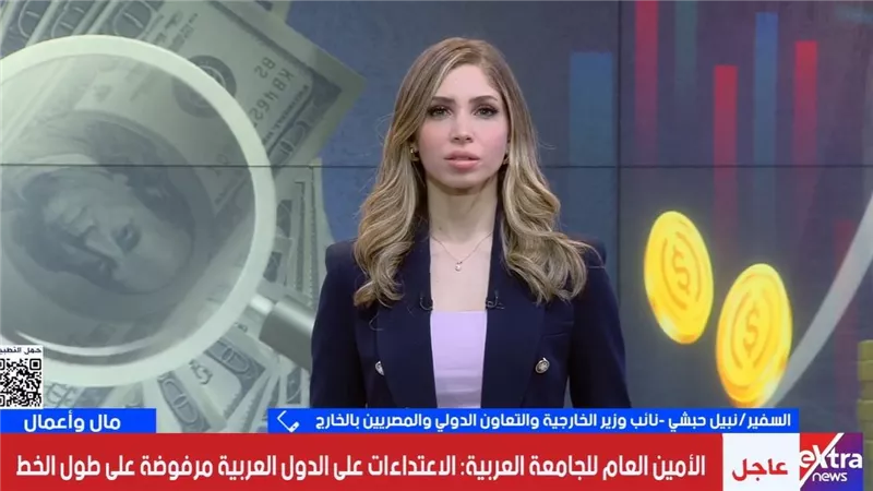 حبشي: وثيقة التأمين اختيارية باشتراك سنوي 400 جنيه للمصريين بالخارج