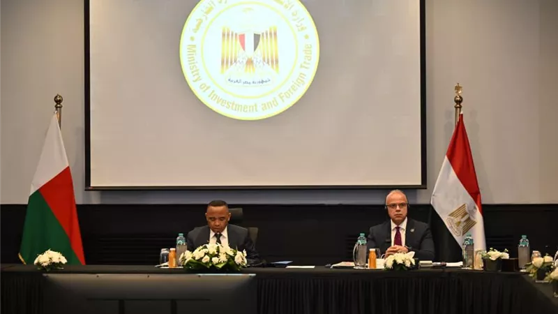 وزير الاستثمار ورئيس مدغشقر يبحثان تعزيز الشراكة الاقتصادية والاستثمارية